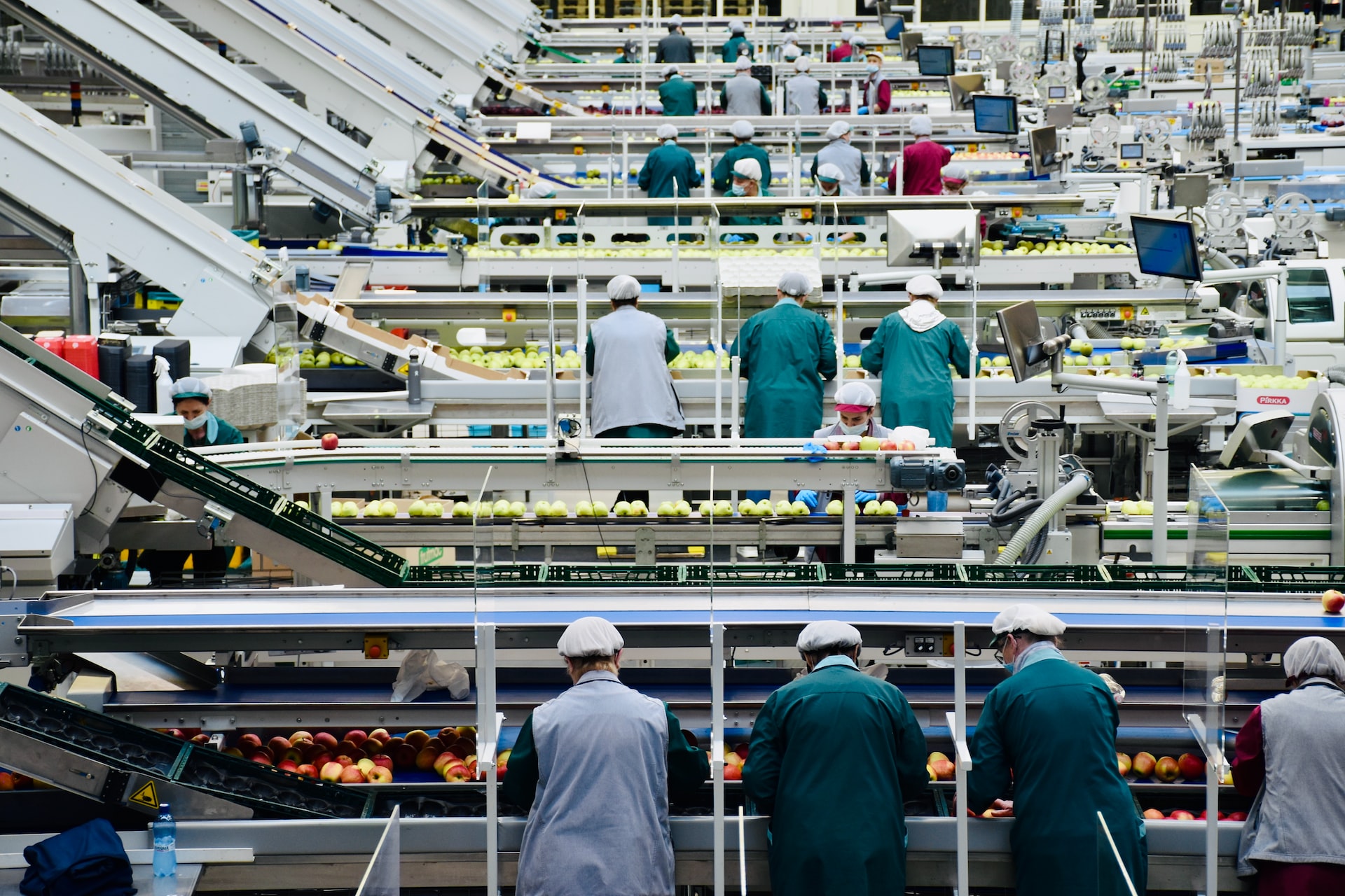 Conveyor belts inside an apple processing plant in northern Italy.